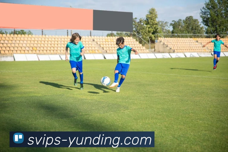 4118云顶官网平台生态图