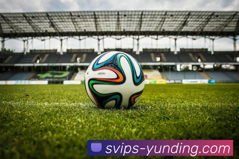 4118云顶官网全站App